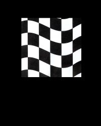 Checkered Flag Beverage Napkins